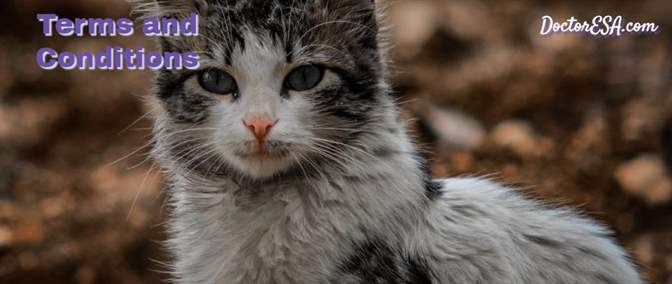 cat_ESA_terms&conditions