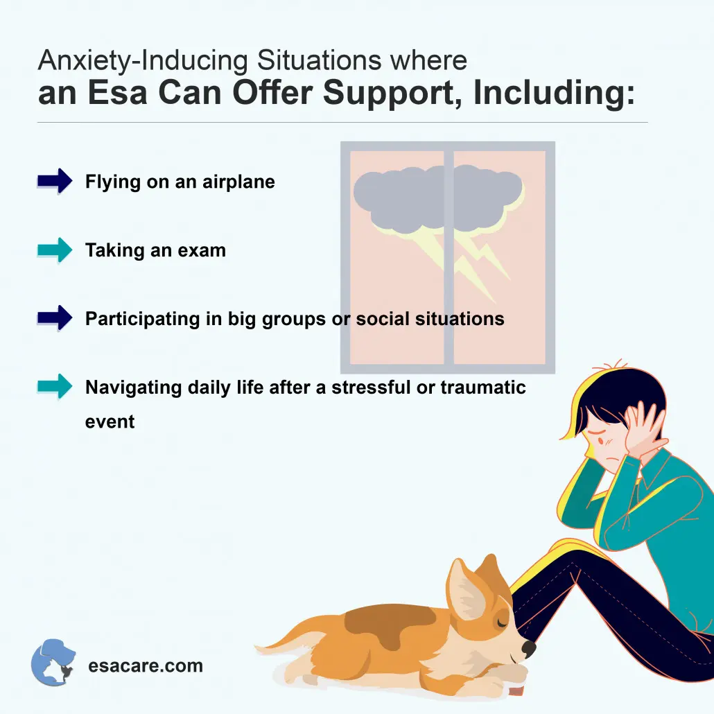 Make my pet an emotional sales support animal