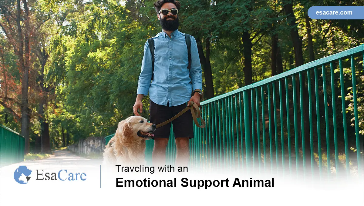 Traveling with an store emotional support animal