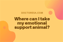 1 Where can I take my emotional support animal?