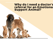 1 Why do I need a doctor’s referral for an Emotional Support Animal?