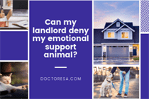 1 Can my landlord deny my emotional support animal?