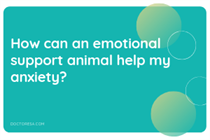 1 How can an emotional support animal help my anxiety?