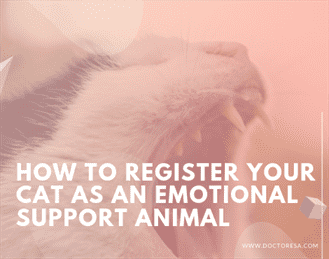 Register Your Cat as an Emotional Support Animal - ESA Care