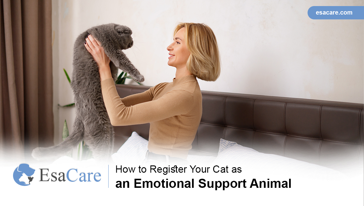 Register Your Cat As An Emotional Support Animal ESA Care