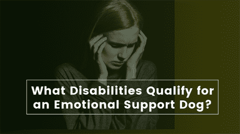 What Disabilities Qualify for an Emotional Support Dog? What Disabilities Qualify for an Emotional Support Dog?