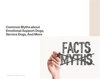 1 Common Myths about Emotional Support Dogs, Service Dogs, And More