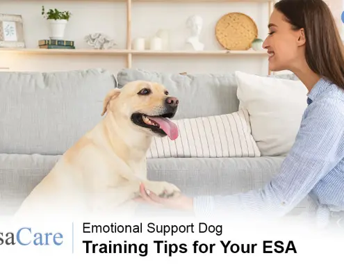 can i train my dog to be an emotional support dog
