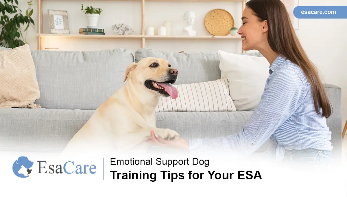 Esa animal hot sale training