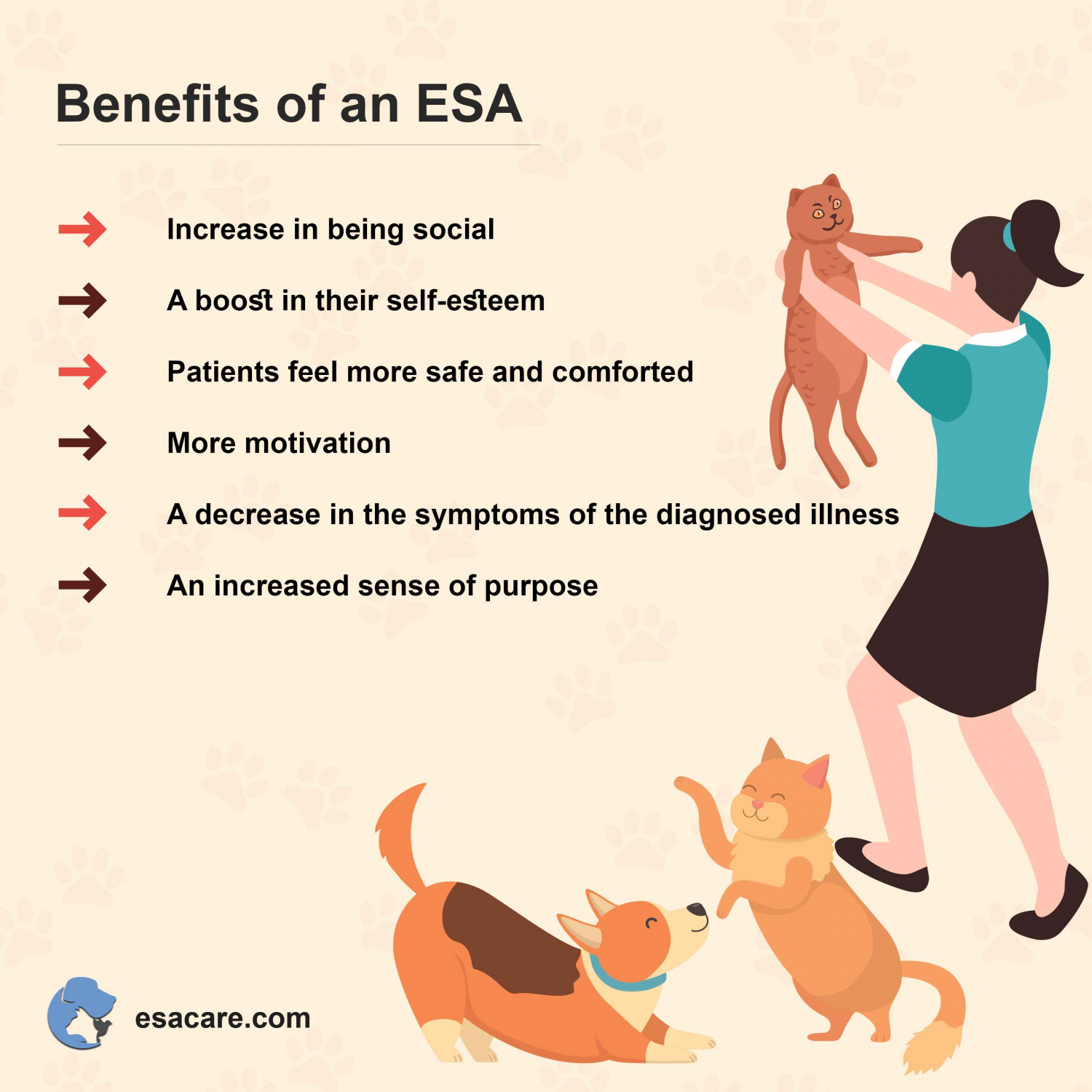 Legal Protections for Emotional Support Dogs ESA Care