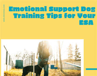 1 Emotional Support Dog Training Tips for Your ESA