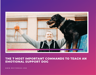 1 The 7 Most Important Commands to Teach an Emotional Support Dog