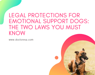 1 Legal Protections for Emotional Support Dogs: The Two Laws You MUST Know