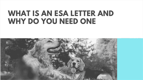 What is an ESA Letter and Why Do You Need One What is an ESA Letter and Why Do You Need One