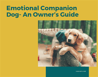 1 Emotional Companion Dog- An Owner’s Guide