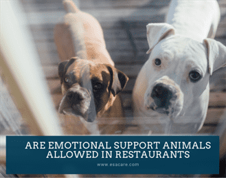 1 Are Emotional Support Animals Allowed in Restaurants