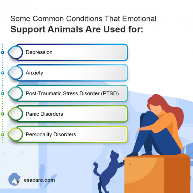Are Emotional Support Animals Allowed in Restaurants ESA Care