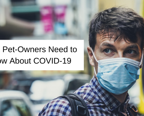 Coronavirus: What Pet Owners Need To Know About COVID-19