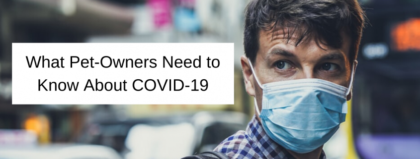 Coronavirus: What Pet Owners Need To Know About COVID-19