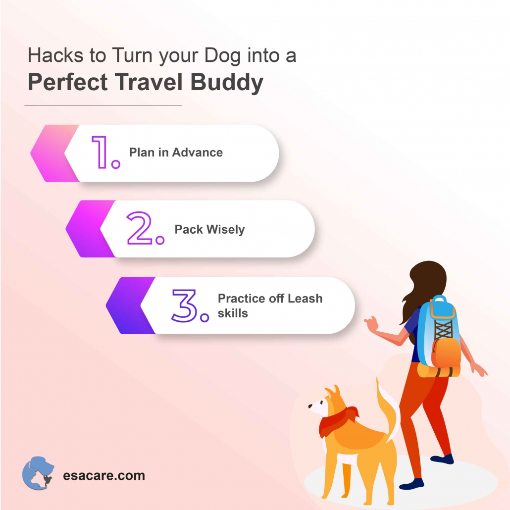 Tips and Tricks of Traveling With Your Pet ESA Care