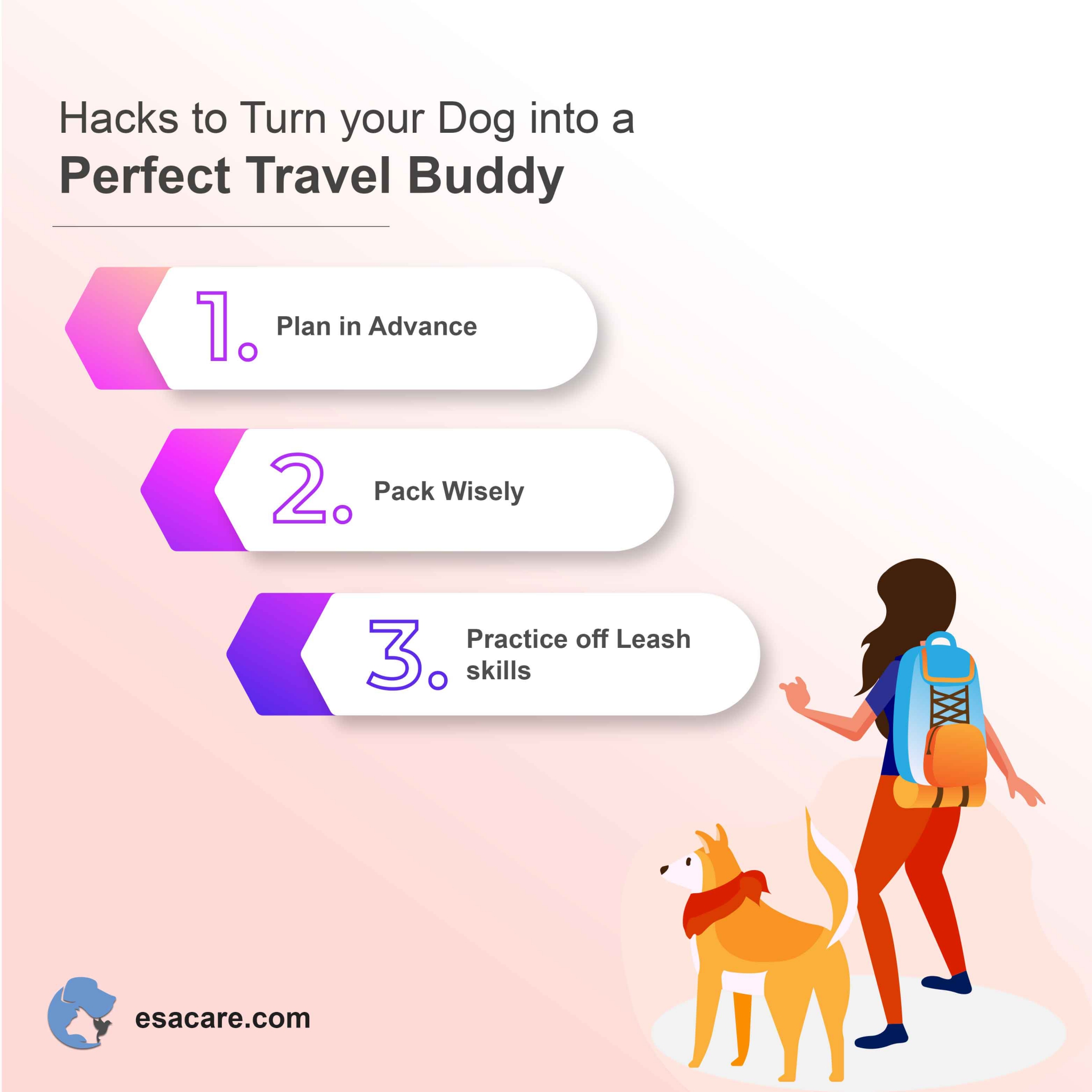 Travel with your dog
