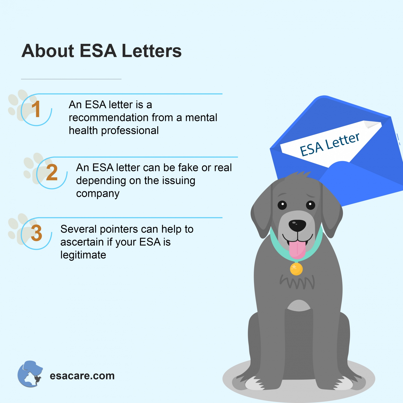 Emotional Support Animal Esa Letter Sample