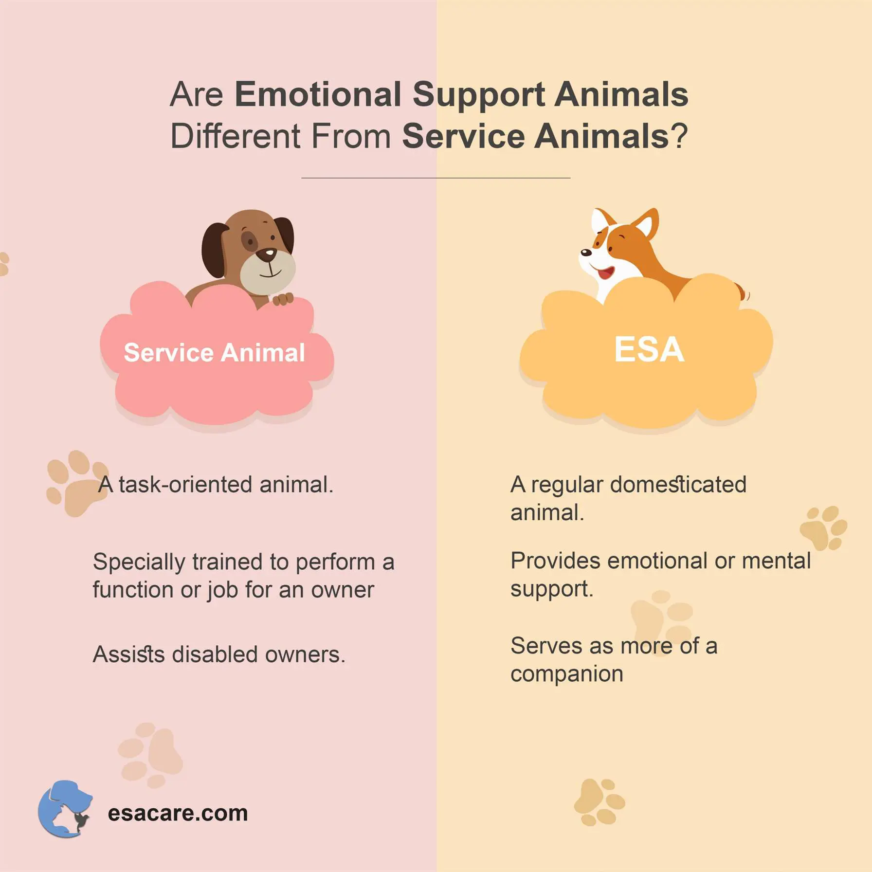 Best types of hot sale emotional support animals