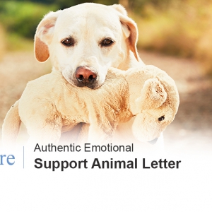 Emotional support animal