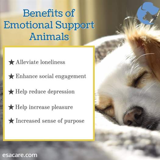 Emotional Support Animals