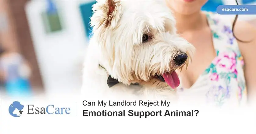 can a landlord refuse a service dog