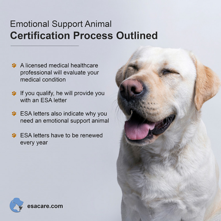 Emotional Support Animal Certification in America ESA Care