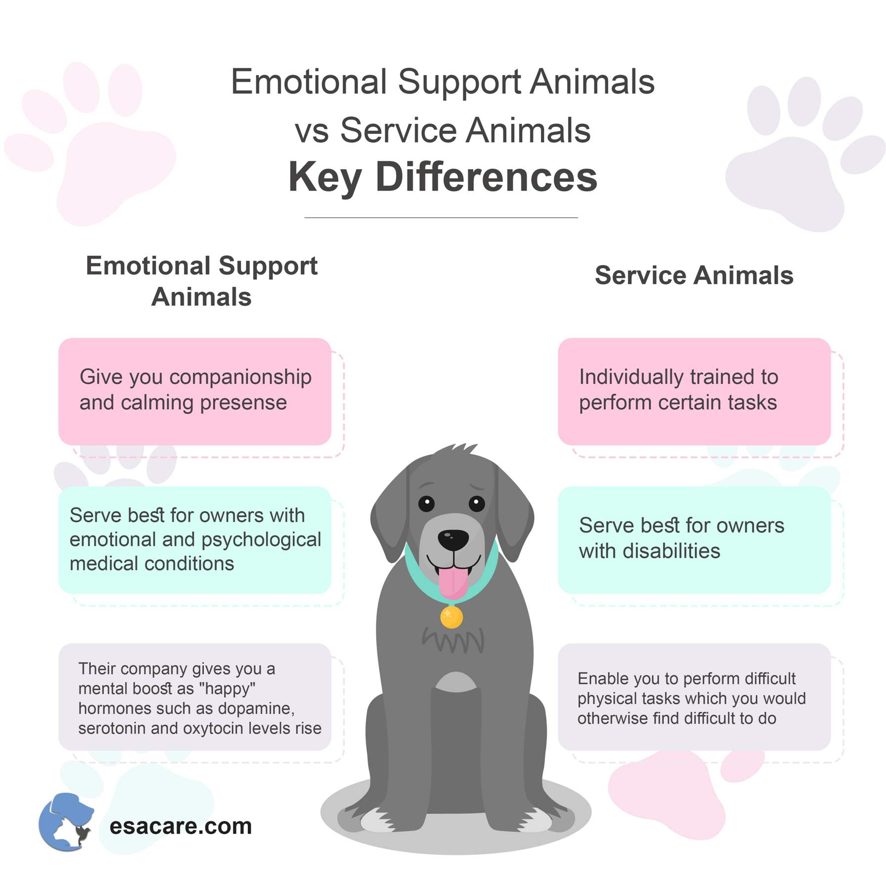 Service dog store emotional support animal