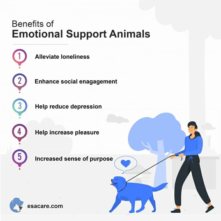 emotional support animal travel policy
