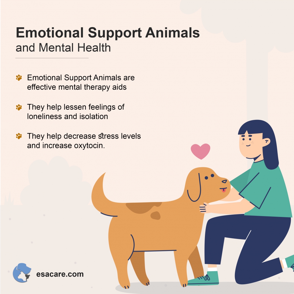 Authentic Emotional Support Animal Letter ESA Care
