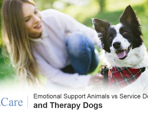 Emotional support animals