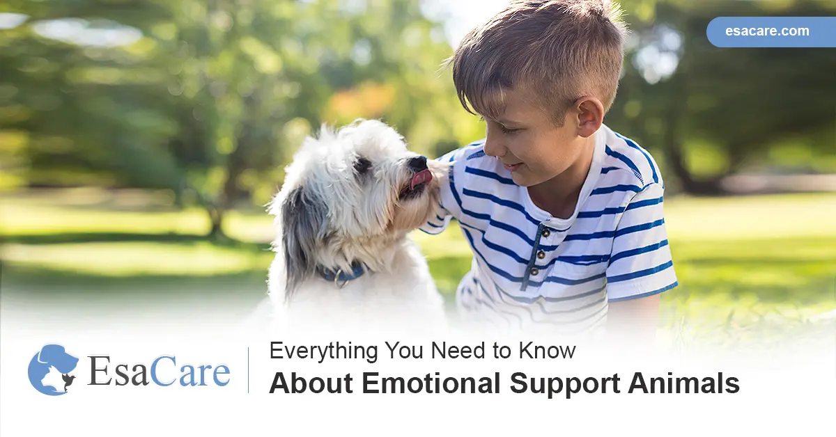 who needs an emotional support dog