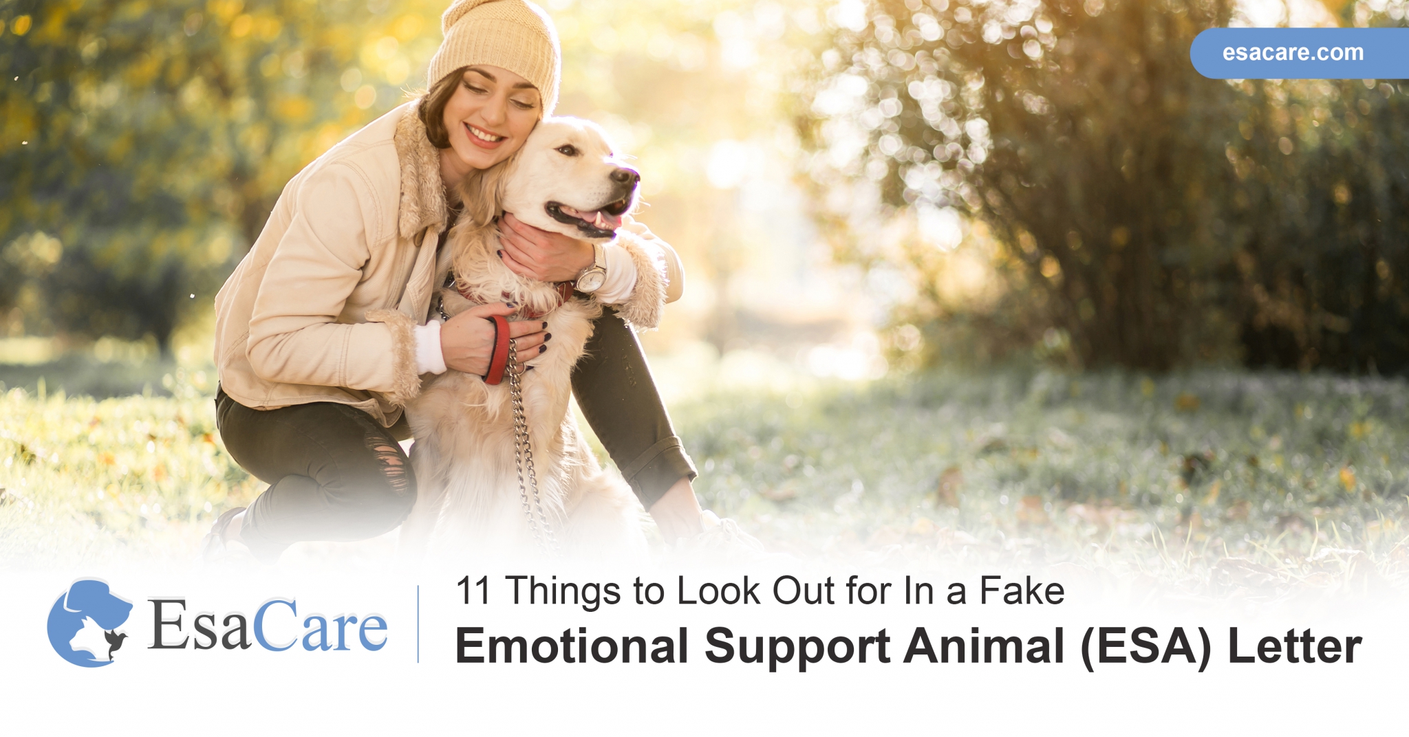 11 Things To Look Out For In A Fake Emotional Support Animal Esa Letter Esa Care