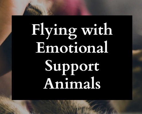 Emotional Support Animals