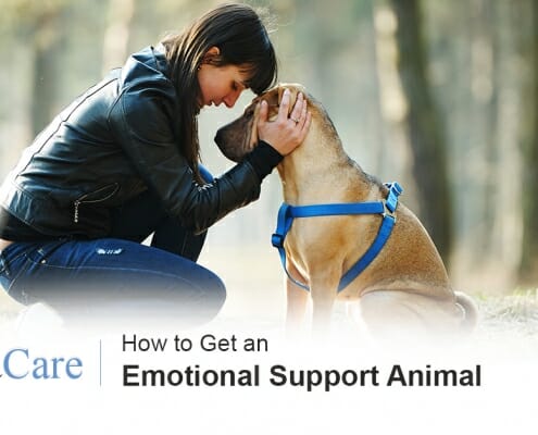 Get an emotional support animal