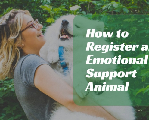 Emotional Support Animal