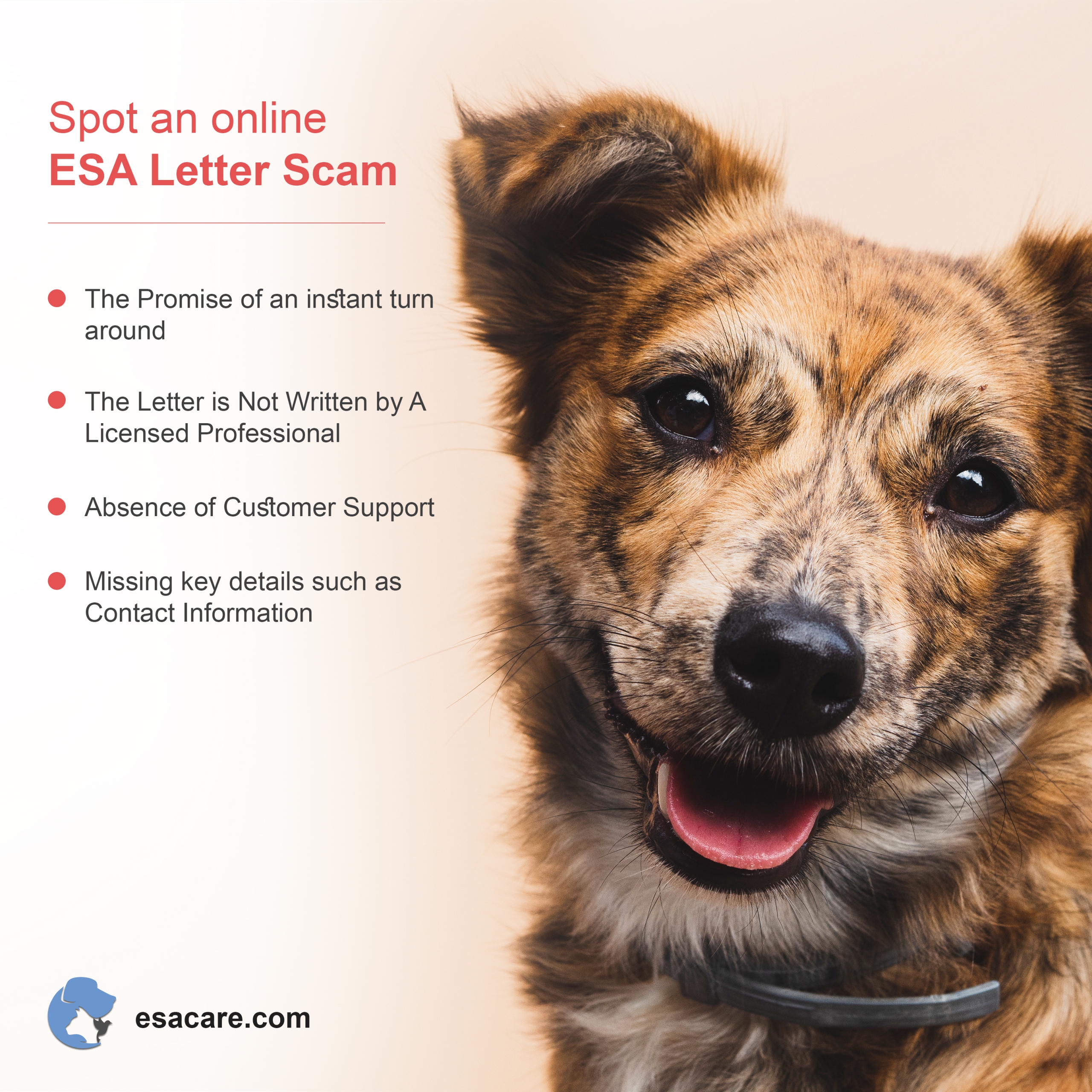 ESA letter scams