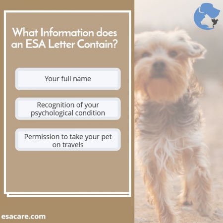 How to Qualify for an Emotional Support Animal - ESA Care