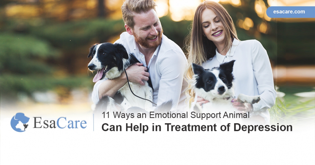 depression support animal