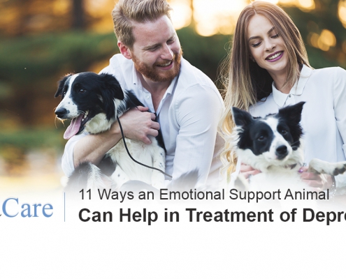 Emotional support animals for depression