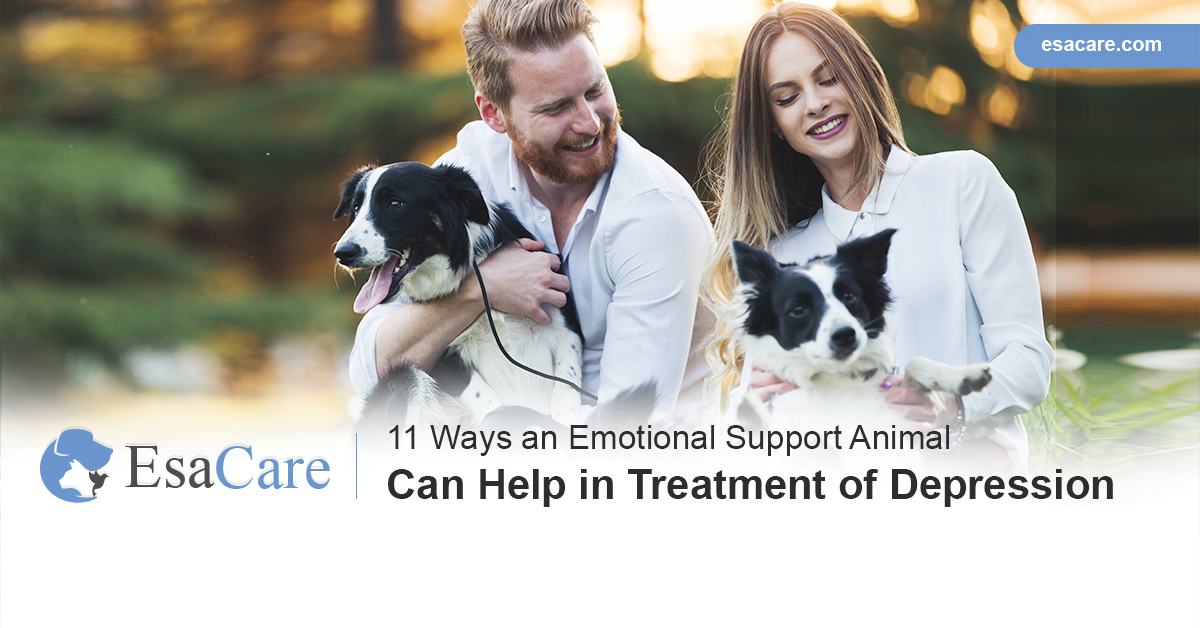 Emotional support animals for depression