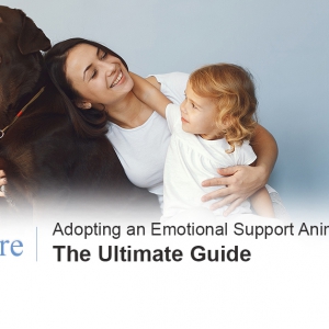 Get an emotional support animal