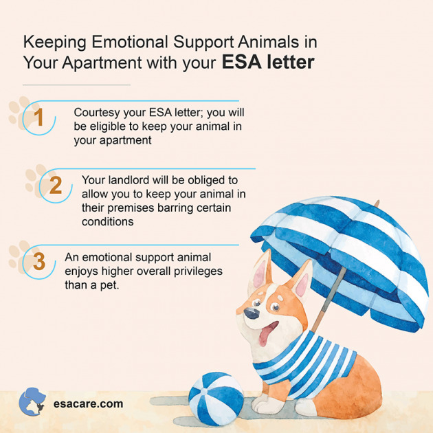17 Amazing Benefits of an ESA Letter You Did Not Know ESA Care