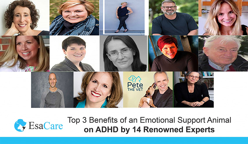 Benefits of an ESA Pet on ADHD by 14 Renowned Experts - ESA Care