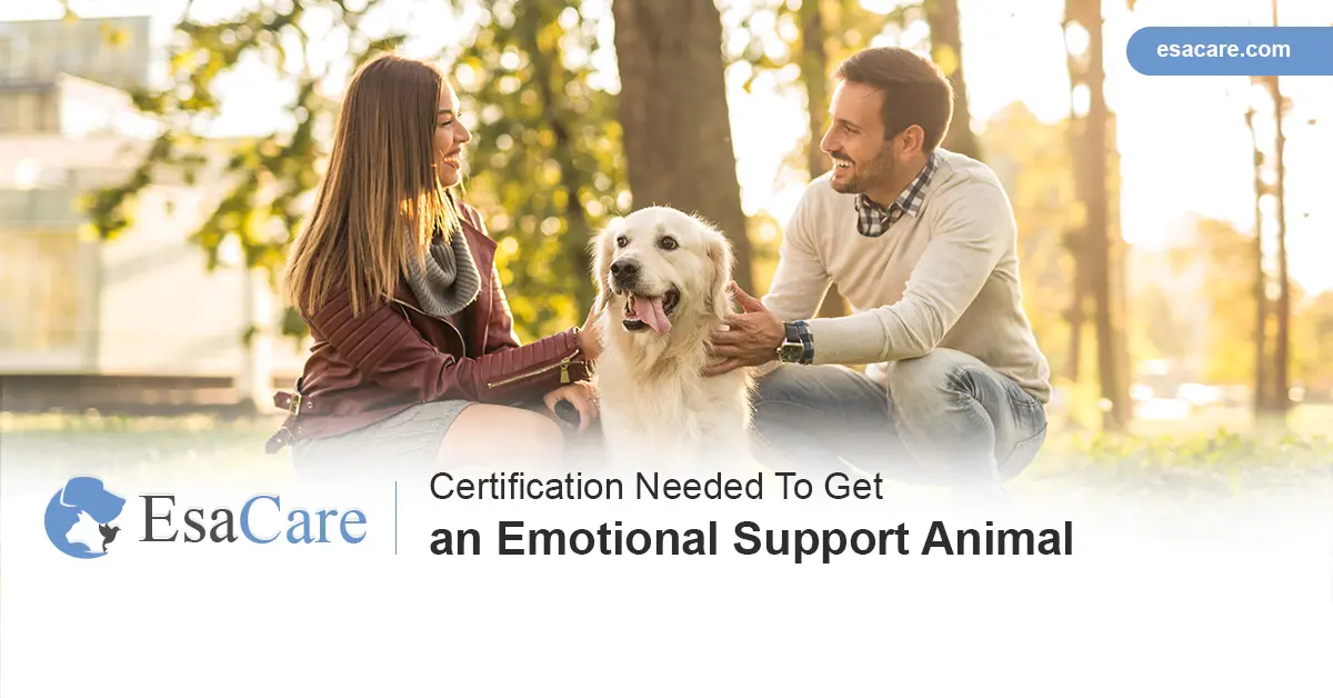Certification Needed To Get an Emotional Support Animal - ESA Care