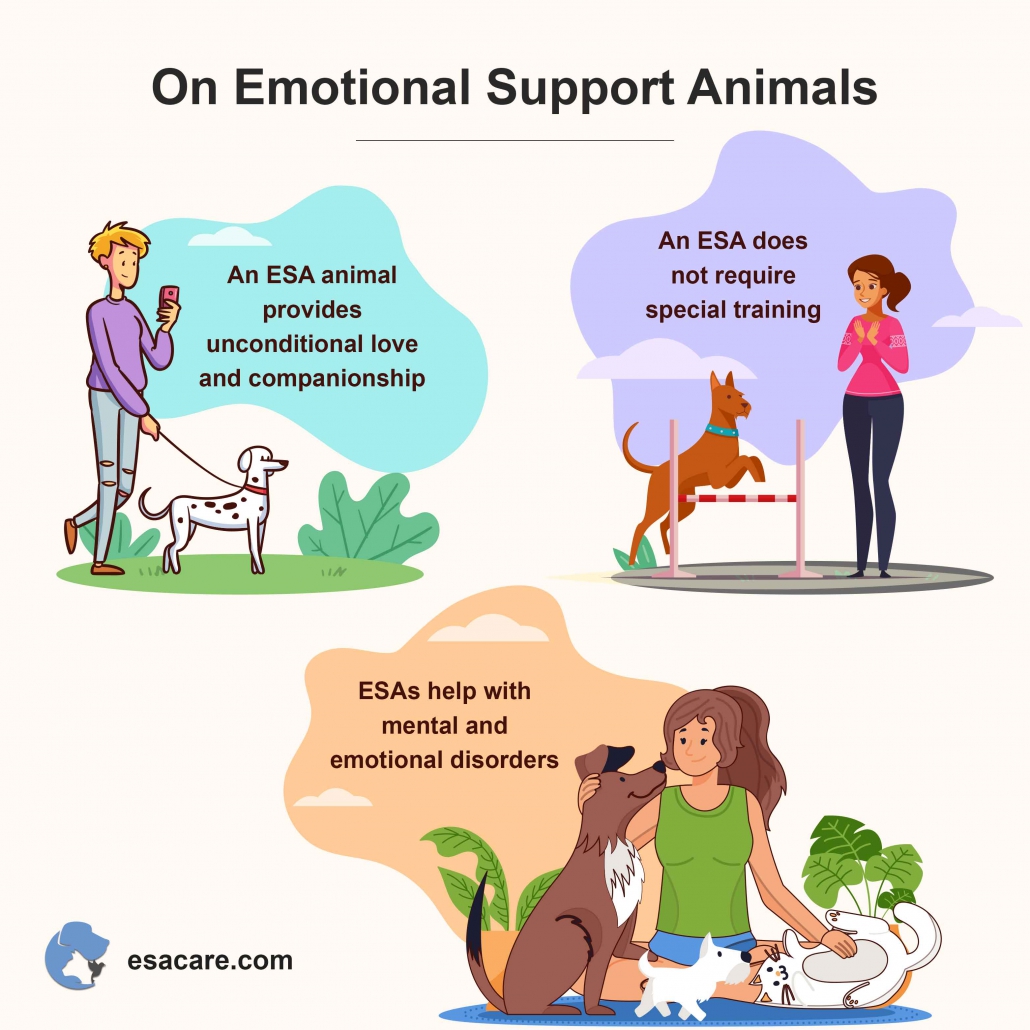 research on emotional support animals